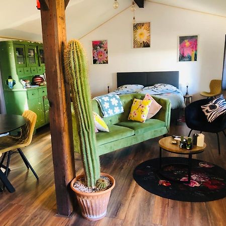 Bed and Breakfast B &B Yuupke Maasbree Noord-Limburg Venlo Roermond Zewnętrze zdjęcie