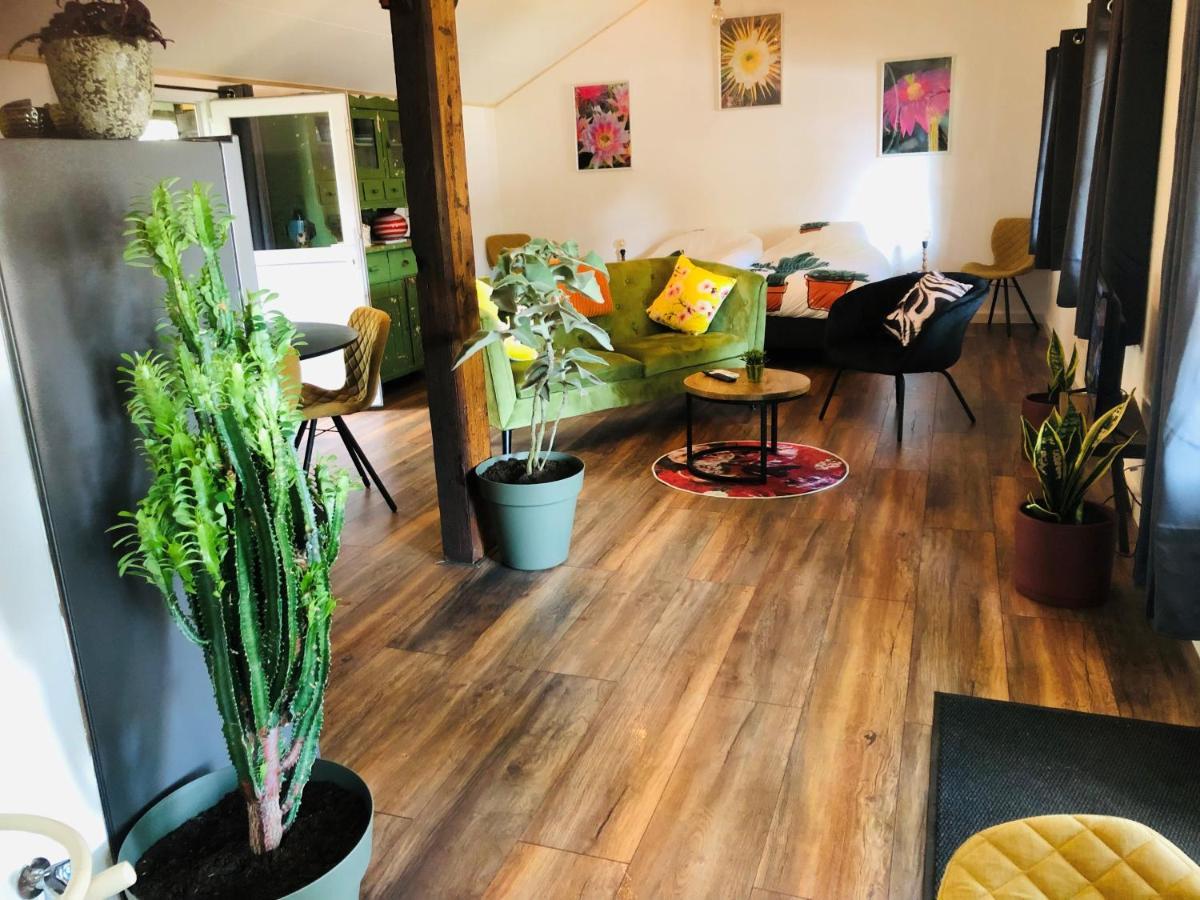Bed and Breakfast B &B Yuupke Maasbree Noord-Limburg Venlo Roermond Zewnętrze zdjęcie