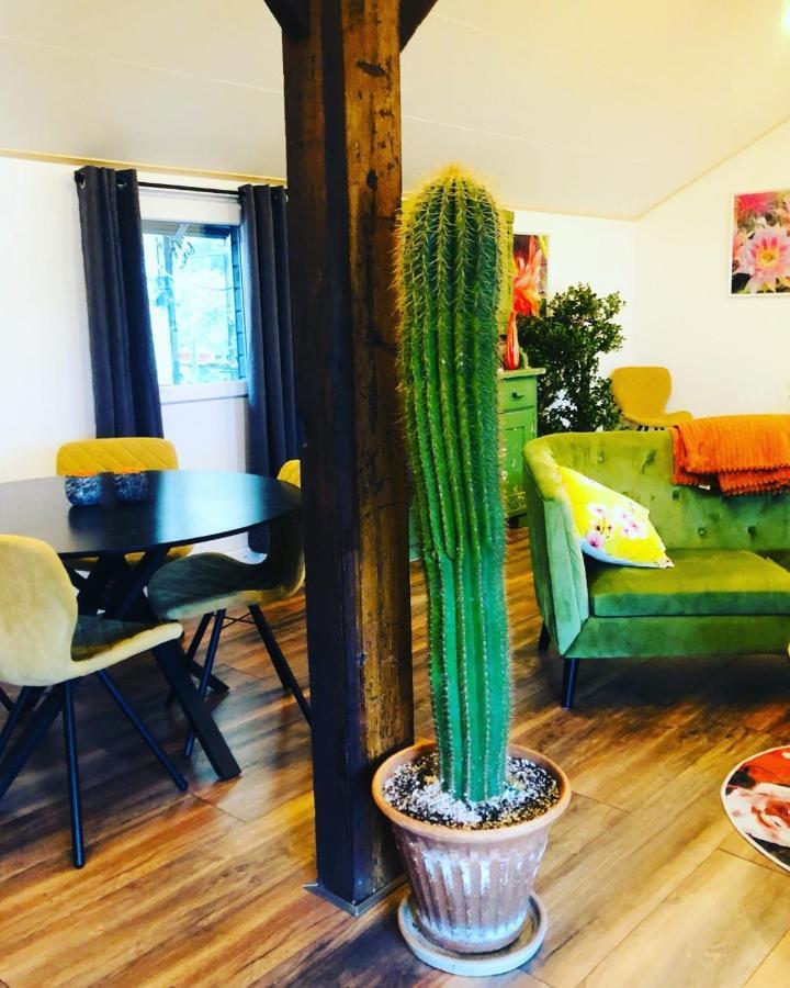 Bed and Breakfast B &B Yuupke Maasbree Noord-Limburg Venlo Roermond Zewnętrze zdjęcie
