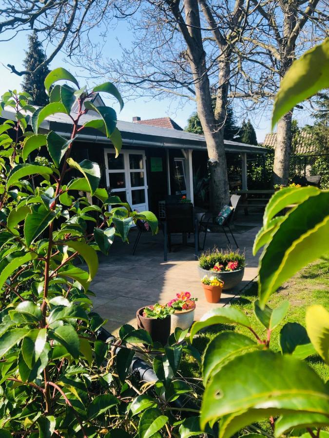 Bed and Breakfast B &B Yuupke Maasbree Noord-Limburg Venlo Roermond Zewnętrze zdjęcie