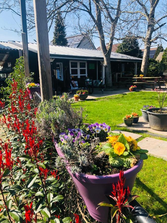 Bed and Breakfast B &B Yuupke Maasbree Noord-Limburg Venlo Roermond Zewnętrze zdjęcie