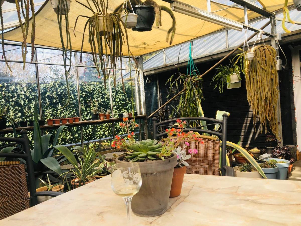 Bed and Breakfast B &B Yuupke Maasbree Noord-Limburg Venlo Roermond Zewnętrze zdjęcie