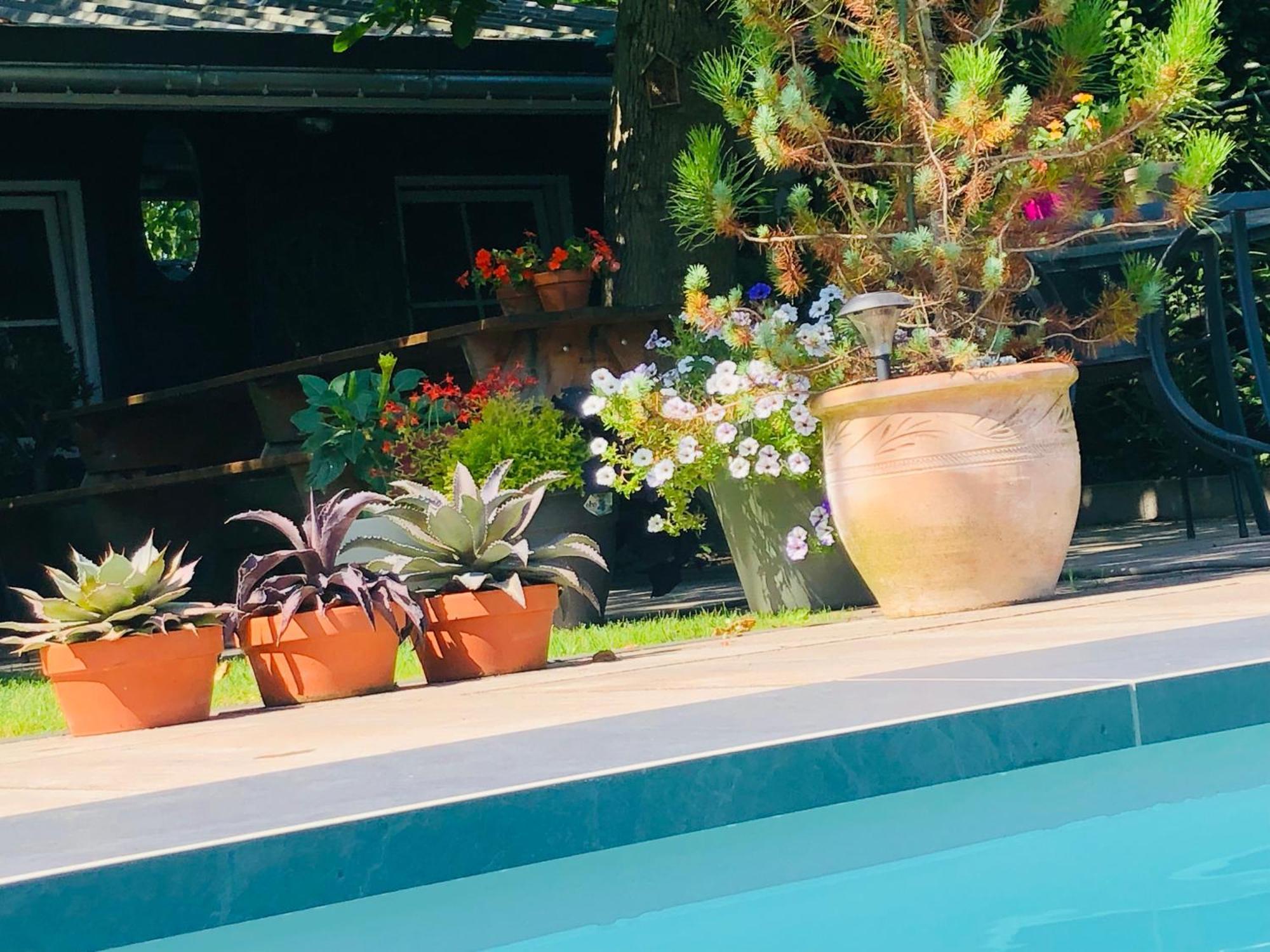 Bed and Breakfast B &B Yuupke Maasbree Noord-Limburg Venlo Roermond Zewnętrze zdjęcie
