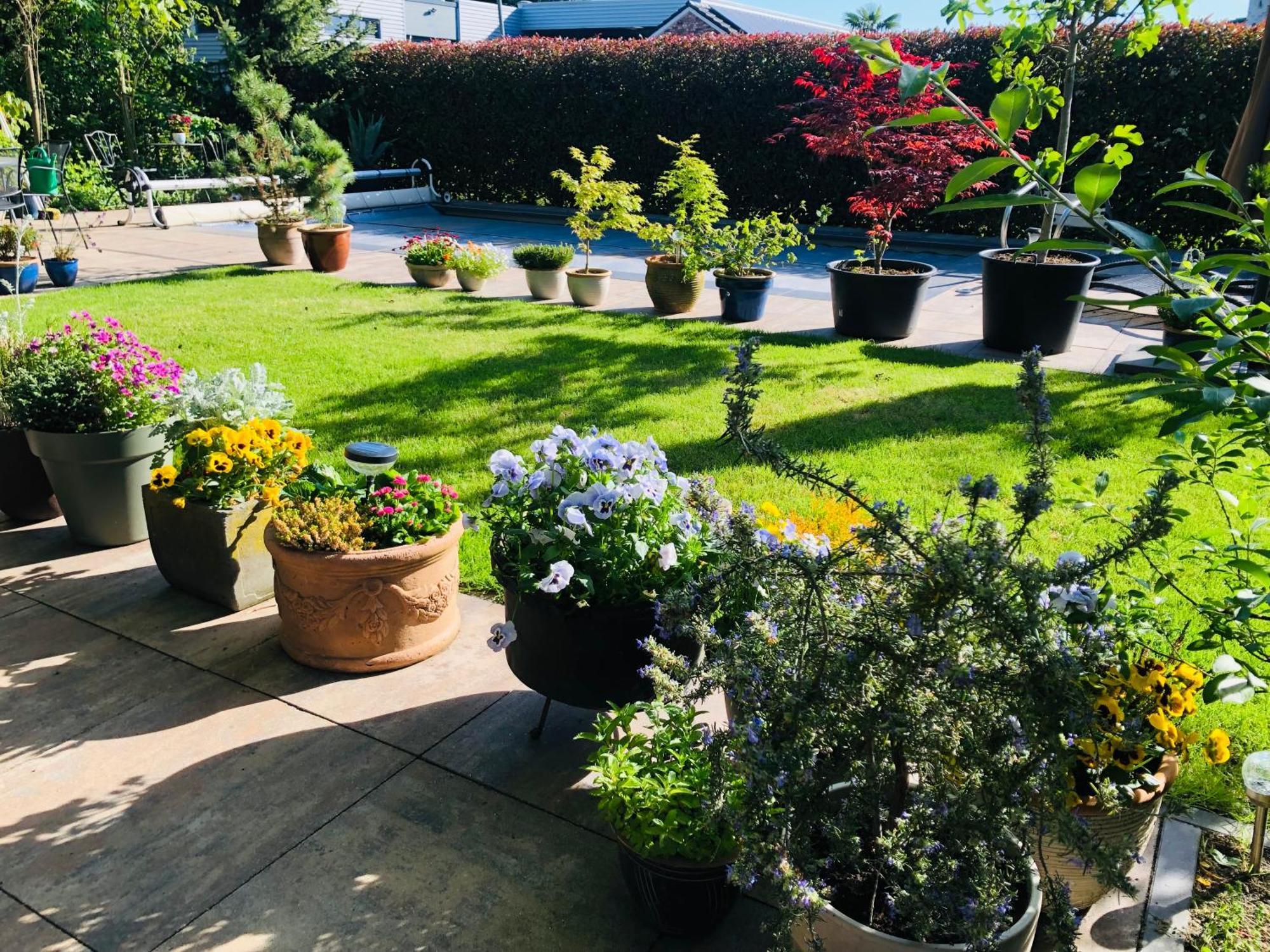 Bed and Breakfast B &B Yuupke Maasbree Noord-Limburg Venlo Roermond Zewnętrze zdjęcie