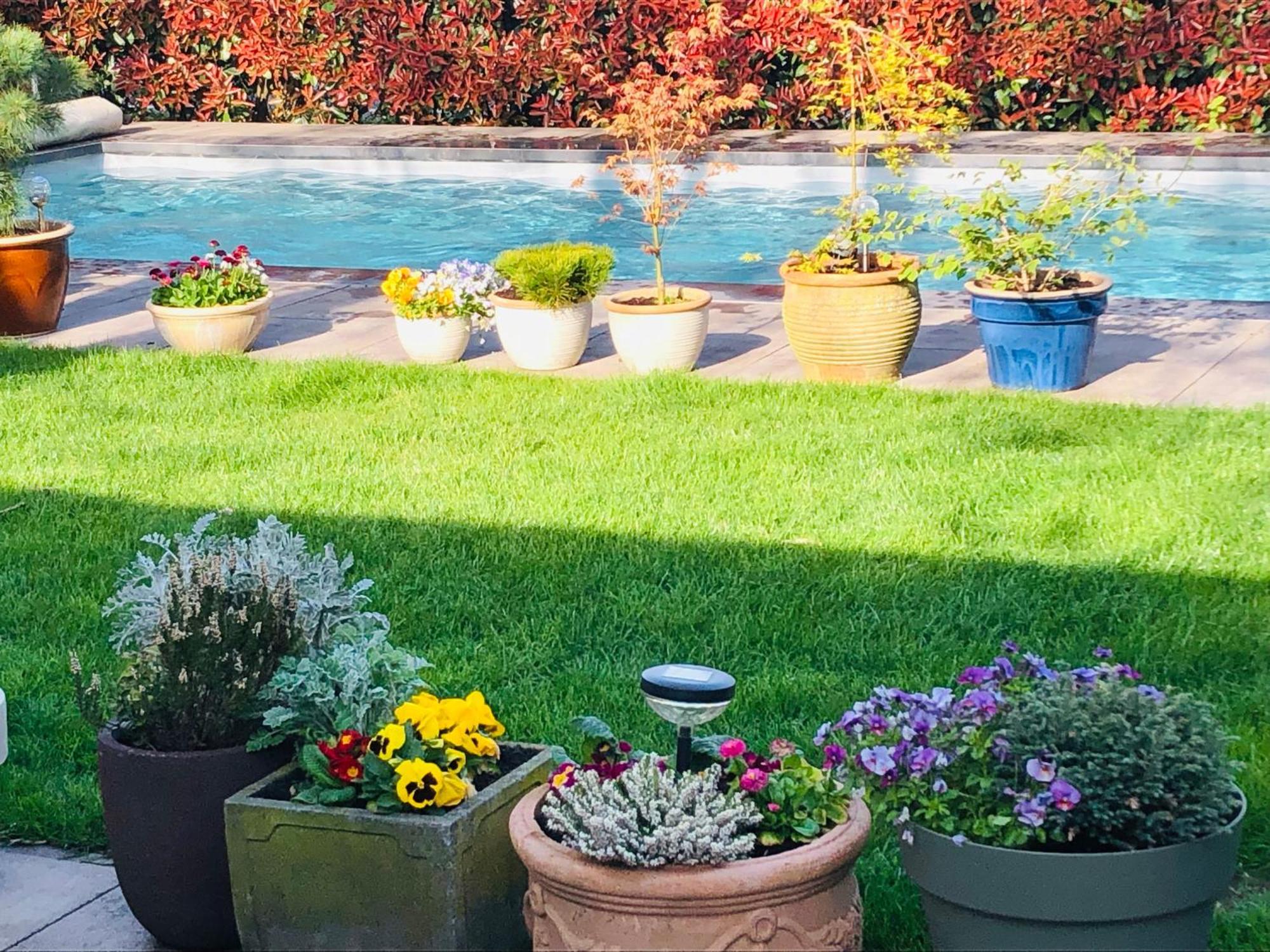 Bed and Breakfast B &B Yuupke Maasbree Noord-Limburg Venlo Roermond Zewnętrze zdjęcie